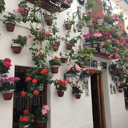 Apartamento Zoco Cordoba Dış mekan fotoğraf