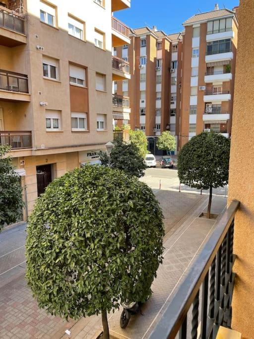 Apartamento Zoco Cordoba Dış mekan fotoğraf
