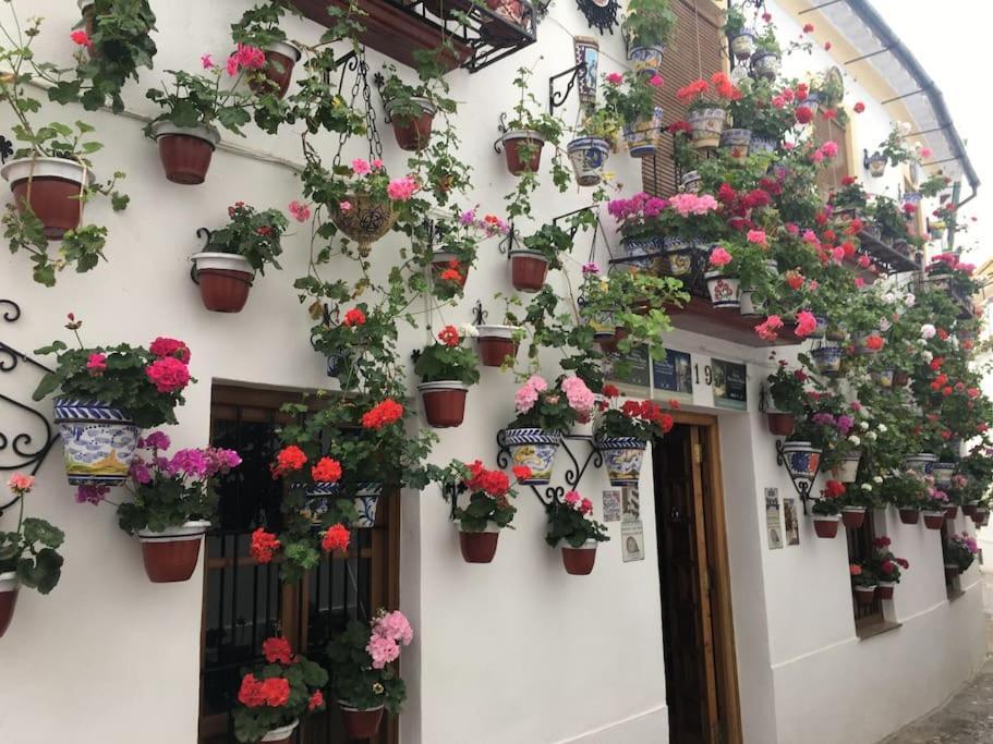 Apartamento Zoco Cordoba Dış mekan fotoğraf